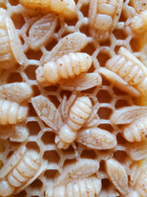 Load image into Gallery viewer, Bee Restored - Honey, Shea Butter, Moroccan Red Clay & Oatmeal - Double Layer Soap