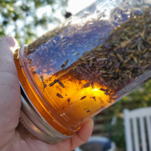 Load image into Gallery viewer, Lavender Infused Honey - Stress Reducing - Calming &amp; Relaxing
