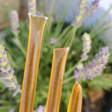 Load image into Gallery viewer, Lavender Honey Sticks - 100% Pure &amp; Natural
