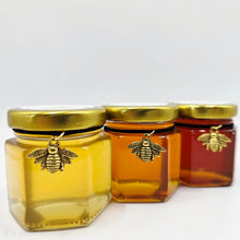 Load image into Gallery viewer, Honey Tasting Minis - Sampler Honey
